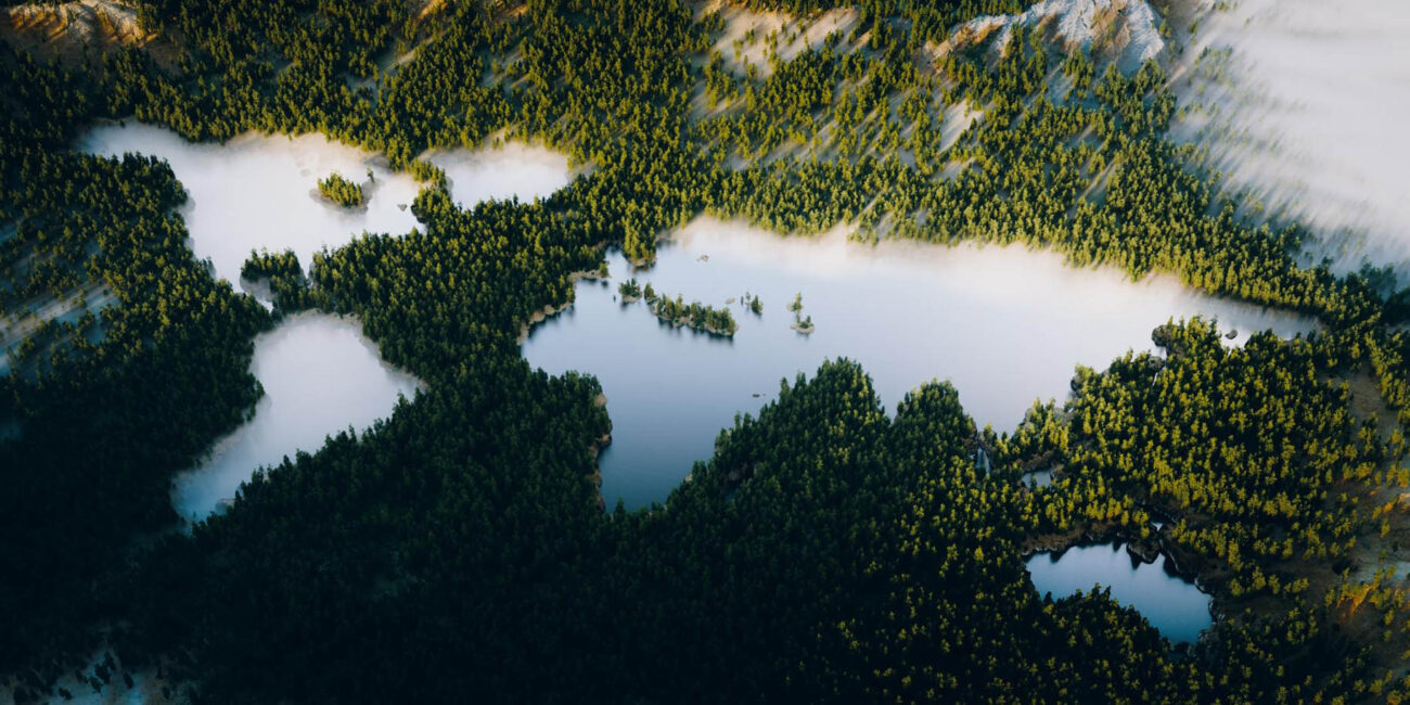 beautiful-lush-mountain-forest-with-continentshaped-turquoise-lake-from-aerial-ultrawide-view-call-protect-our-planet-through-sustainable-development-3d-rendering