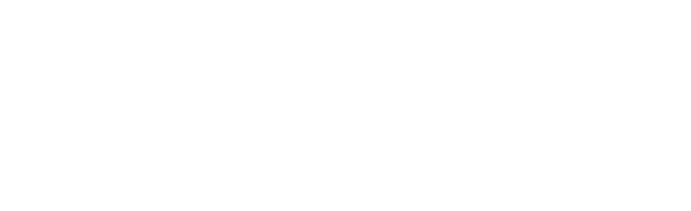 Rev1
